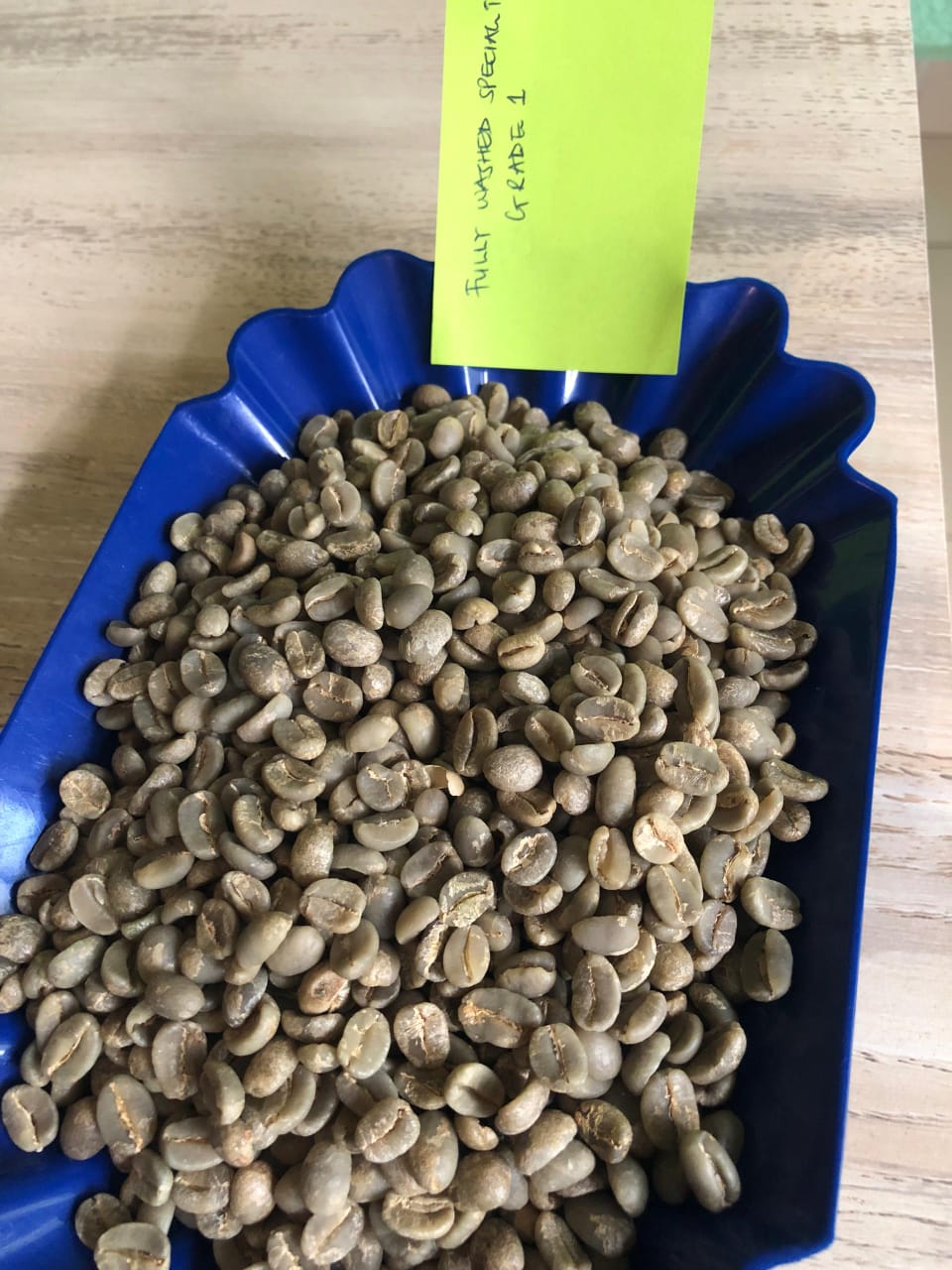 Fresh Export
