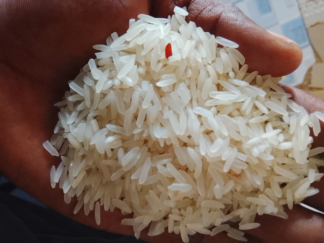 Fresh Export