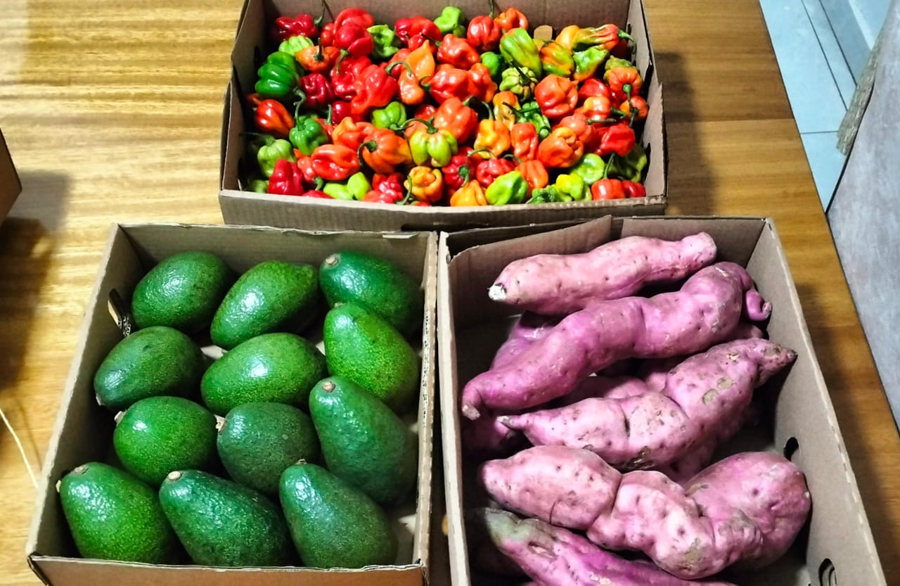 Fresh Export